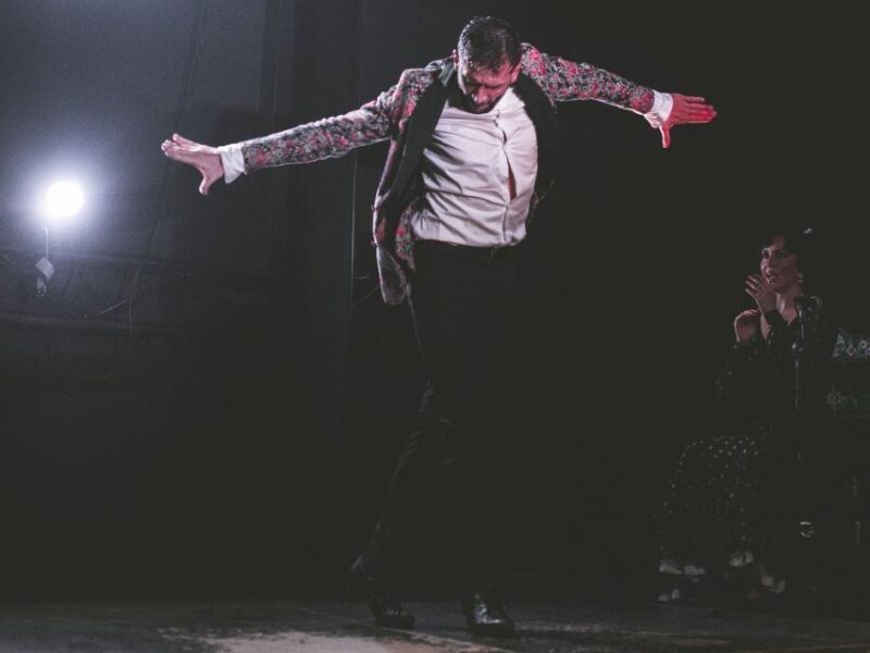 Granada: Traditional Flamenco Show at Tablao Casa Ana - Why This Flamenco Show Could Be Perfect for You