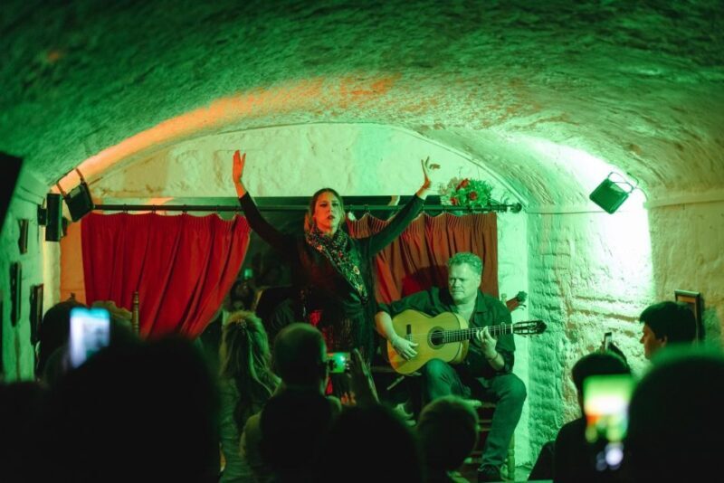 Granada: Traditional Flamenco Show in a Cave Entry Ticket - Who Should Consider This Tour?