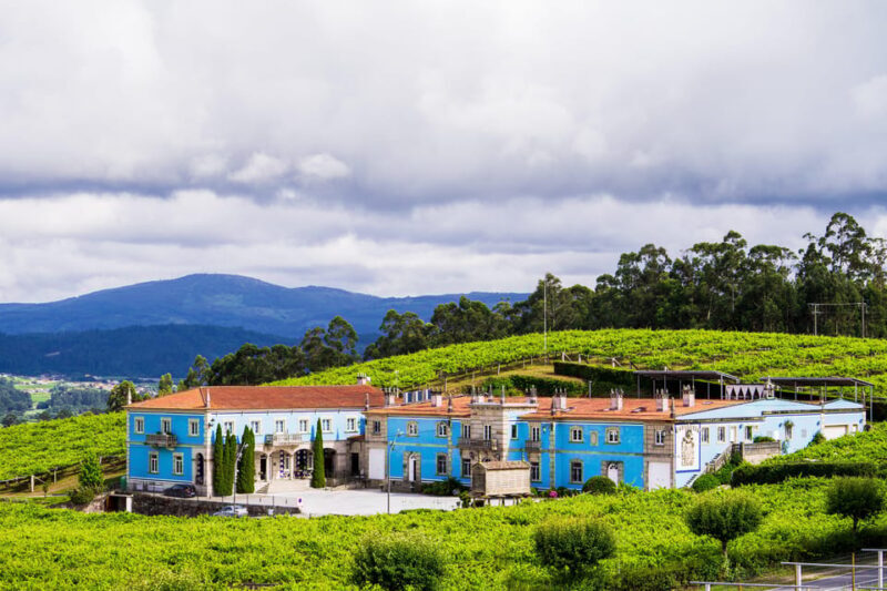 Granbazán Winery: Guided Tour and Wine Tasting - The Experience in Detail