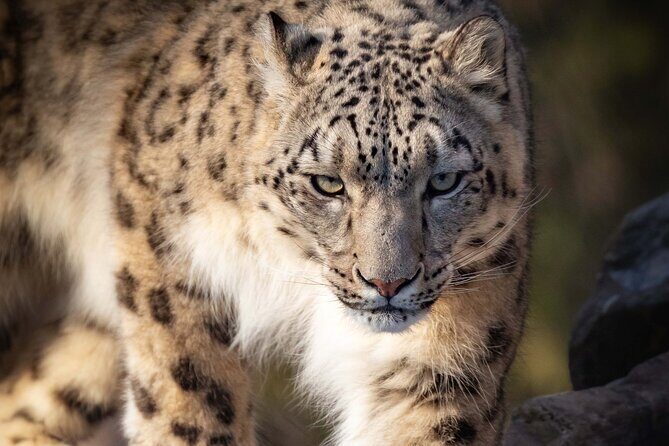 Granby Zoo 1 Day - Exploring the Granby Zoo Tour: What to Expect