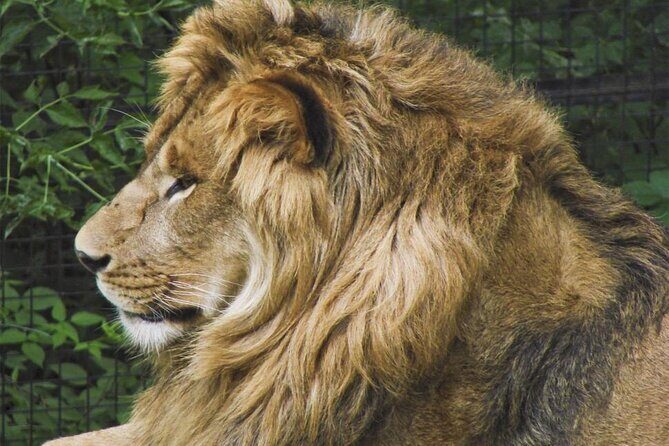 Granby Zoo 1 Day - Final Thoughts