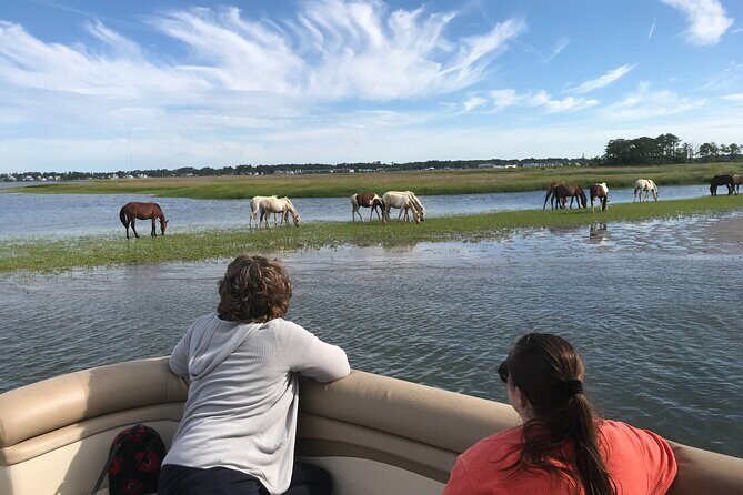 Grand Boat Tour around Chincoteague and Assateague Islands - Key Points