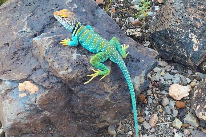 Grand Canyon + Ancient Ruins + Volcano Full Day Christian Tour - FAQ