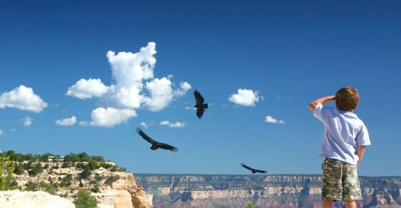 Grand Canyon: Morning Off-Road Safari with Skip the Gate - The Practical Stuff: What You Need to Know