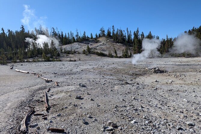 Grand Canyon of Yellowstone Hiking Adventure Full Day with Lunch - What Reviewers Say About the Experience