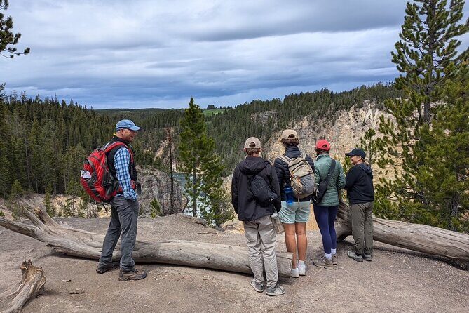 Grand Canyon of Yellowstone Hiking Adventure Full Day with Lunch - Practical Details and Considerations