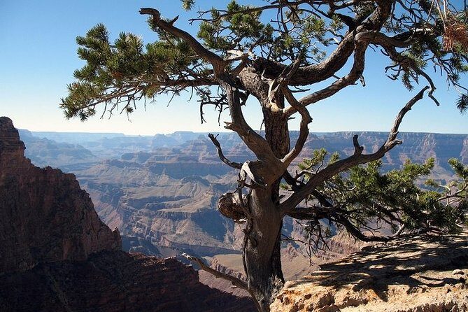 Grand Canyon South Rim Day Trip from Flagstaff - Final Thoughts