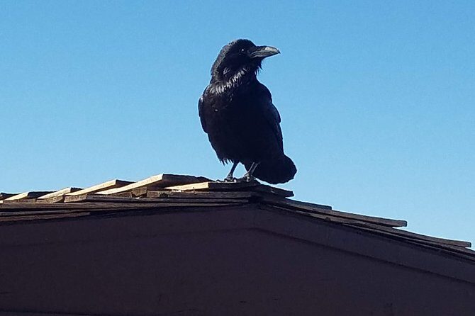 Grand Canyon Tour from Flagstaff - Who Should Consider This Tour?