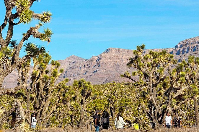 Grand Canyon West Skywalk Hoover Dam Ghost Town Day Tour - Final Thoughts