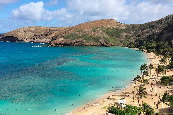 Grand Circle Island and Haleiwa 9 Hour Tour - Who Will Love This Tour