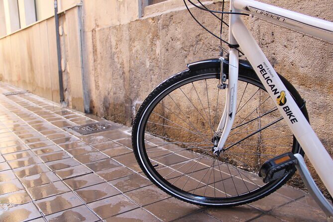 GRAND CITY Private Guided Tour on Bike, E-Bike, E-Step or Segway - Who Should Consider This Tour?