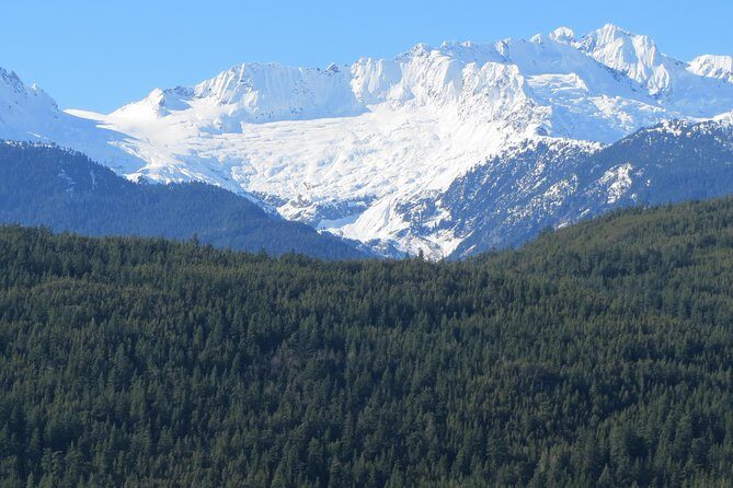 Grand City Small Group Tour of Vancouver - Why You Might Love This Tour