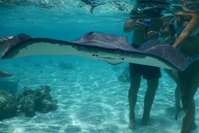 Grand Combo 3H00 of Jetski + 2H30 of Quad - Final Thoughts