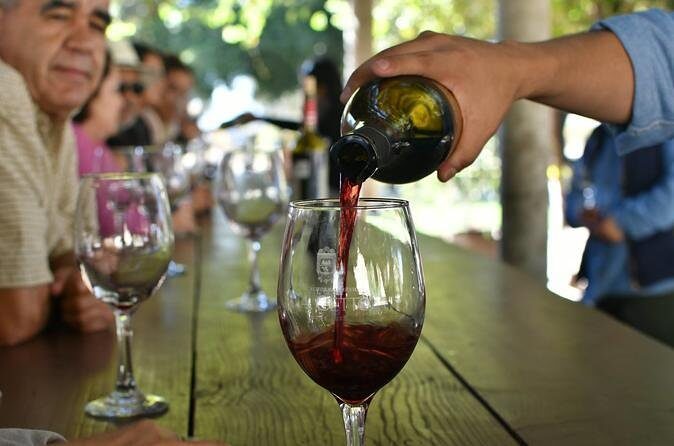 Grand Mexico Wine Country Tour from San Diego - Key Points