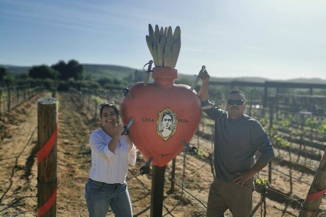 Grand Mexico Wine Country Tour from San Diego - What the Tour Looks Like in Practice