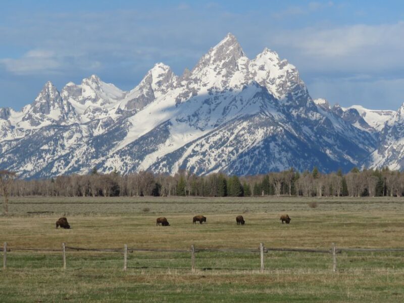 Grand Teton National Park: Full-Day Tour with Boat Ride - The Sum Up