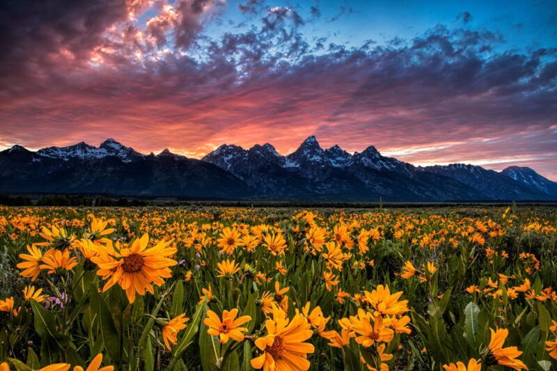 Grand Teton: Private Guided Tour (Sunset) - A Closer Look at the Sunset Tour Experience