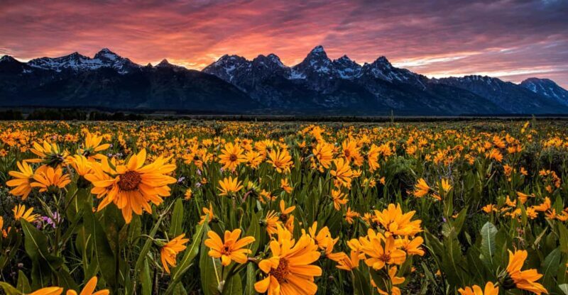 Grand Teton: Private Guided Tour (Sunset) - FAQ