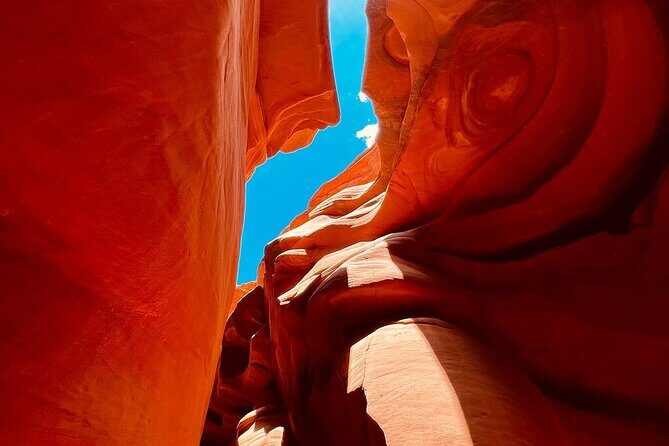 Grand Teton,Yellowstone National Park,Las Vegas 8Day Tour from LA - FAQ