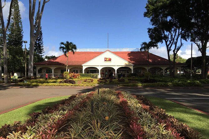 Grand Tour Around Island 16 Locations plus Snorkeling - The Transportation and Logistics