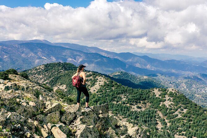 Grand Tour Full Day Jeep Safari from Larnaka Bay - The Vehicles and the Ride