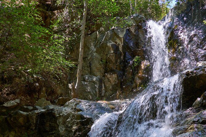 Grand Tour Full Day Jeep Safari from Larnaka Bay - What Do the Reviews Say?