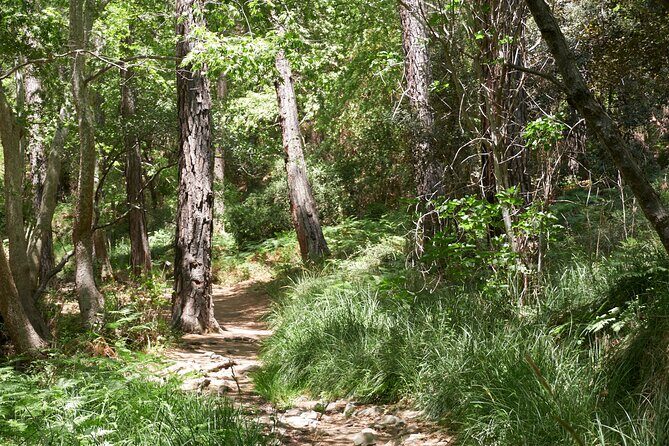 Grand Tour Full Day Jeep Safari from Larnaka Bay - Who Is This Tour Best Suited For?