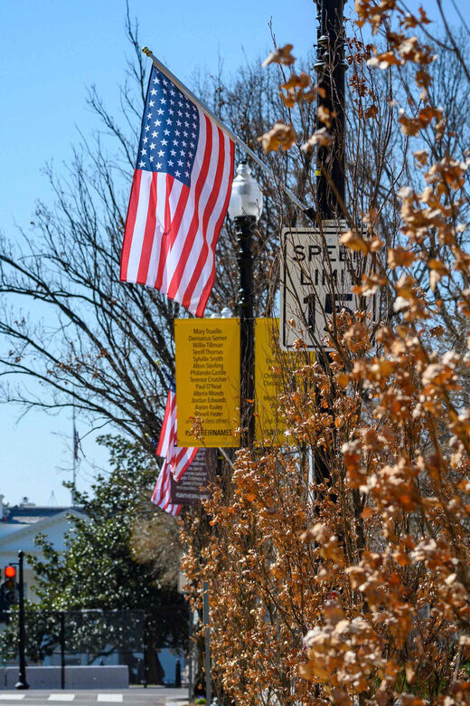 Grand Tour Of Washington DC - Who Is This Tour Best For?