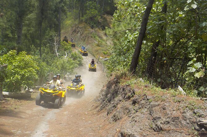 Grand Tour Quad Excursion in Moorea (Single or Two-Seater) - FAQ