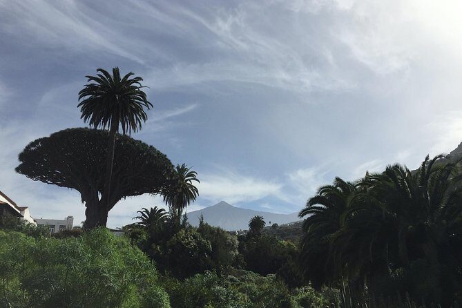 Grand Tour Tenerife - Full-Day Private VIP Tour - Who Would Love This Tour?