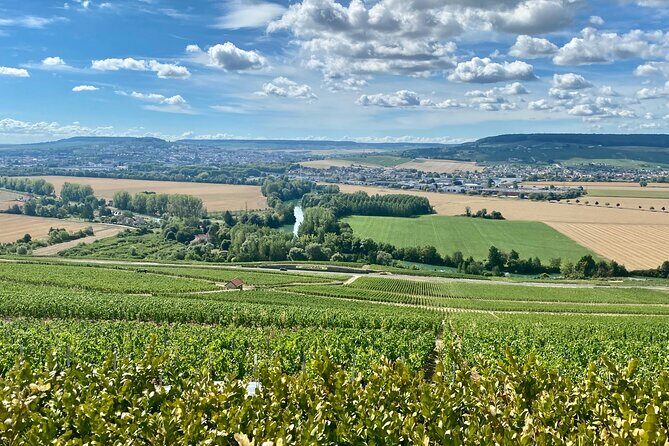 GRAND VINTAGE Moet et Chandon Veuve Clicquot Cellars & Tastings - Practical Aspects & What to Expect