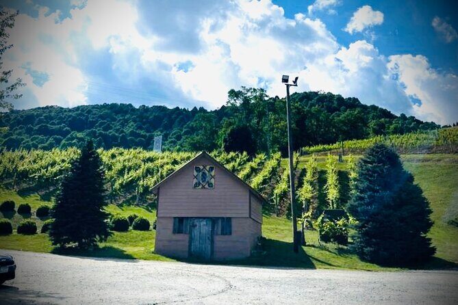 Grandfather Mountain Private Wine & Dine Tour from Asheville - The Vineyards: Grandfather Vineyard & Linville Falls Winery