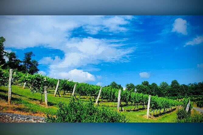 Grandfather Mountain Private Wine & Dine Tour from Asheville - What’s Included and What You Should Know