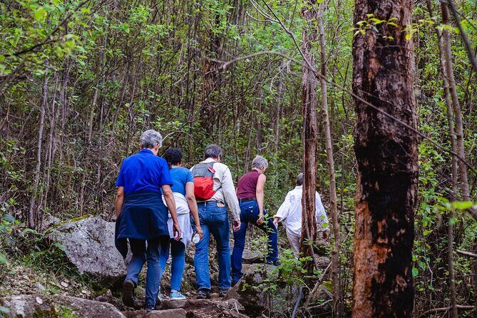 Granite Skywalk Porongurups - The Experience in Context