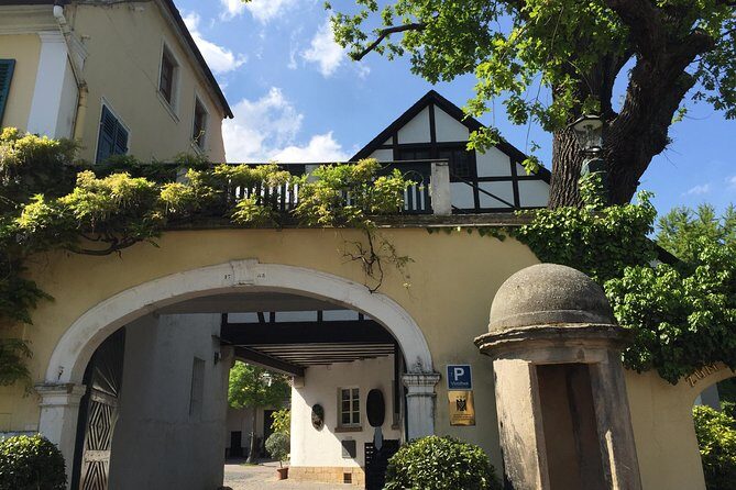 Grape Day out Pfalz to taste cracking Red wines & Riesling - Who Will Love This Tour?