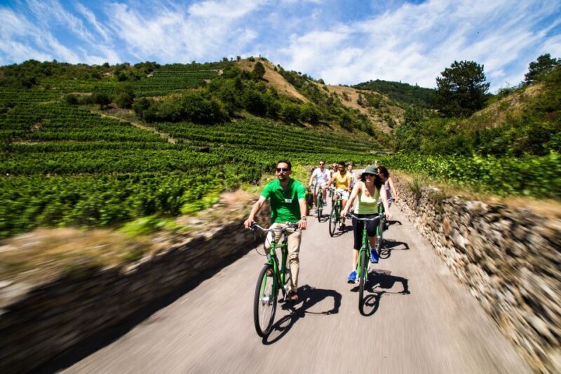 Grape Grazing: Wachau Valley Winery Biking Tour - A Closer Look at the Experience