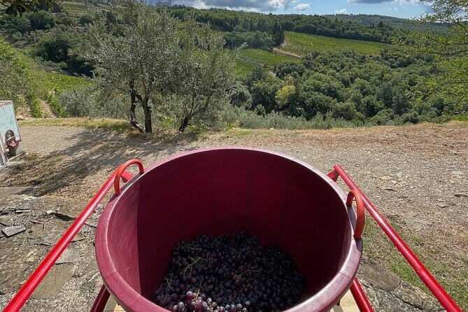 Grape Stomping and Wine Tasting in Tuscany - What You Can Expect from the Tour