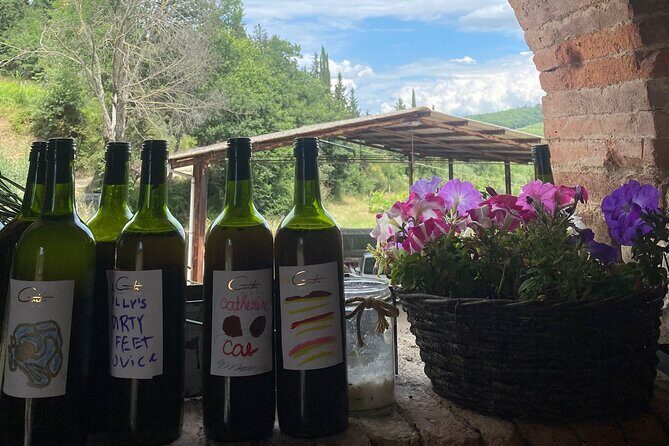 Grape Stomping Experience and Wine Tasting - Authentic Voices: What Past Participants Say