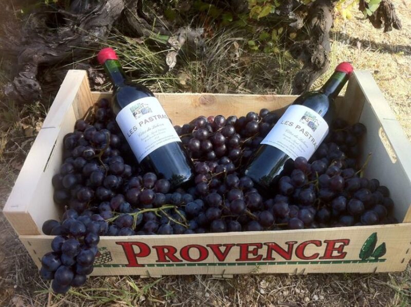 Grape Stomping in Provence - Frequently Asked Questions