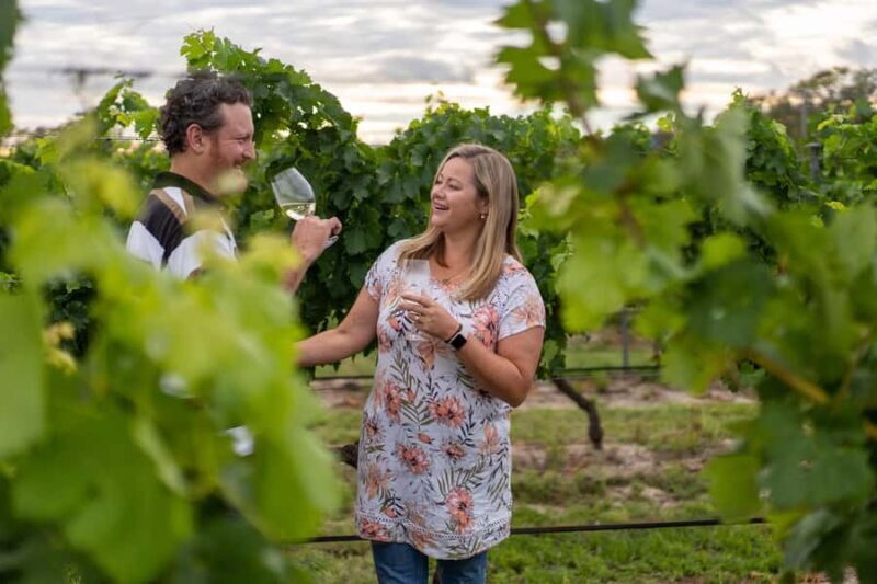 Grape to Glass Master Class - Pricing and Value