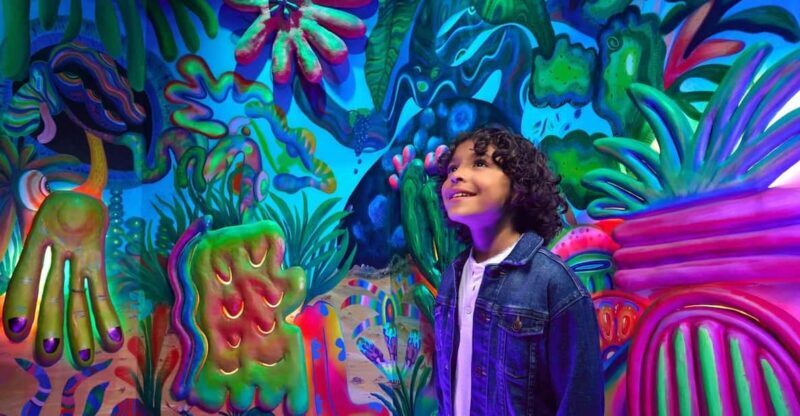 Grapevine: Meow Wolf The Real Unreal Ticket - Key Points