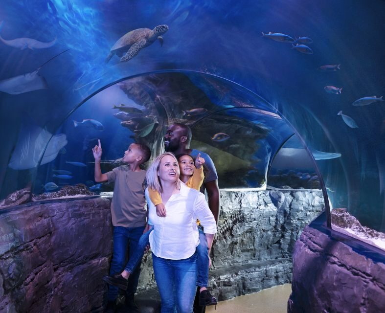 Grapevine: SEA LIFE Grapevine Aquarium General Admission - What Is SEA LIFE Grapevine Aquarium?