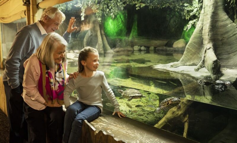 Grapevine: SEA LIFE Grapevine Aquarium General Admission - What to Expect During Your Visit