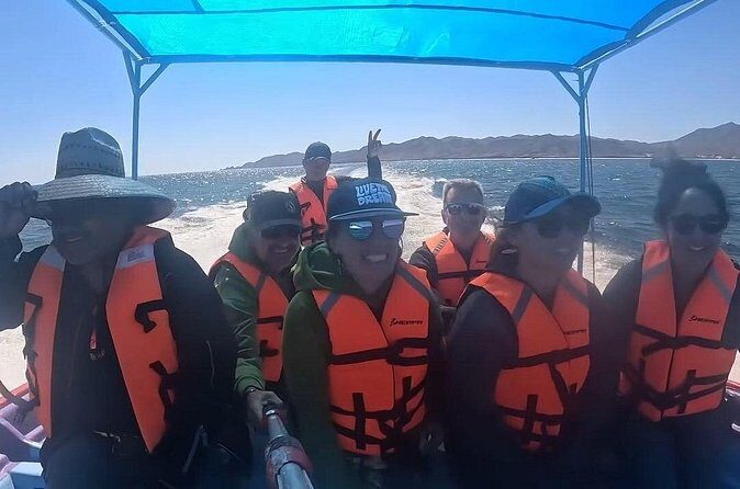 Gray Whale Tour Private Group from La Paz Limited to 8 - Ready for your Baja whale adventure?