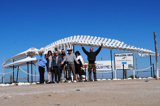 Gray Whale-Watching 2-Day Experience in Magdalena Bay - Final Thoughts — Who Should Consider This Tour?