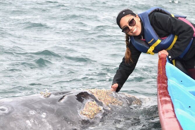 Gray Whale Watching in Bahia Magdalena - FAQ