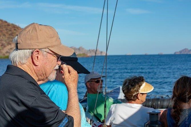 Gray Whale Watching Tour at Lopez Mateos - Discovering the Magic of Magdalena Bay