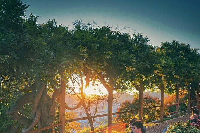 Graz Funicular Ride and Schlossberg Picnic Experience - Key Points