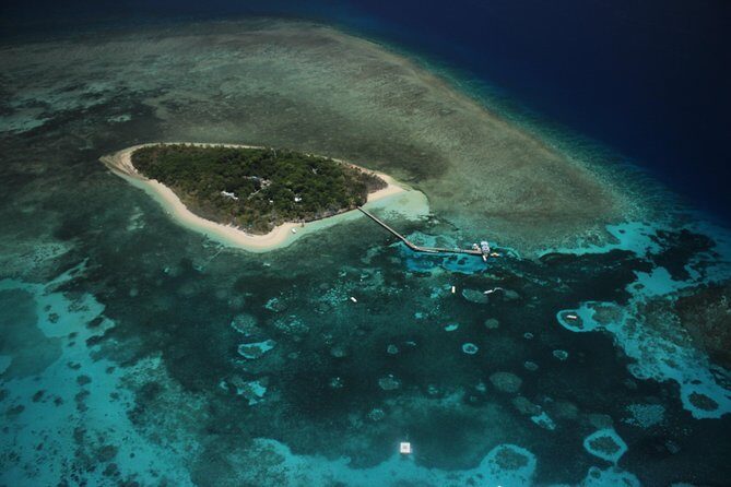 Great Barrier Reef 40 Minute Scenic Flight from Cairns - Reef Hopper - Frequently Asked Questions