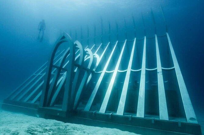 Great Barrier Reef and MOUA Cruise from Townsville or Magnetic Island - A Closer Look at What You Can Expect